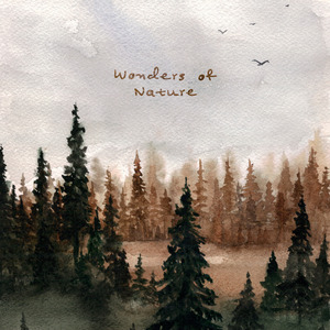 欧美黄色三级视频
